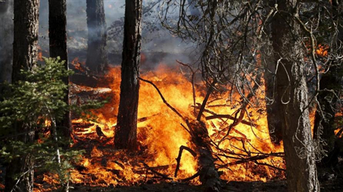 Incendi boschivi: stato di massima pericolosità dal 21 luglio 2022